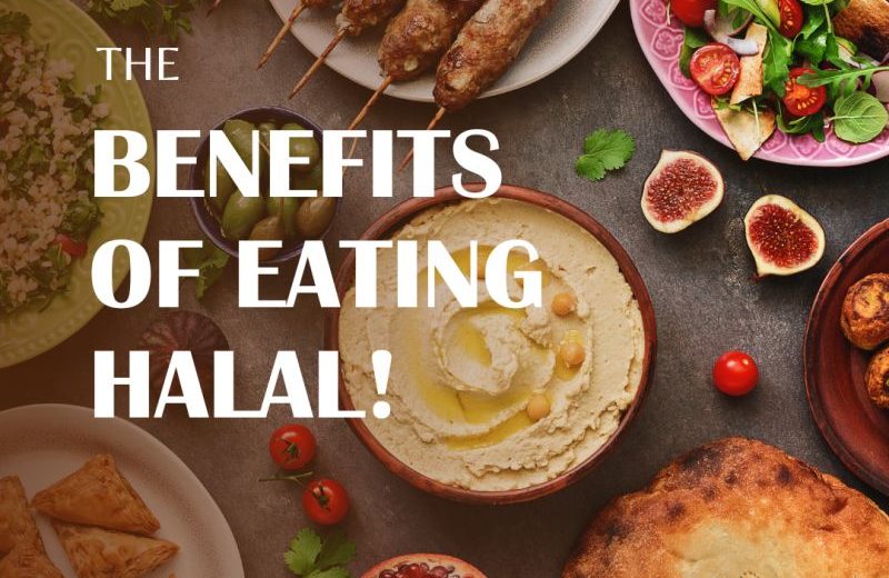 Is Halal Food Healthy? A Guide on Nutrition, Ethics & Global Appeal 17 is halal food healthy